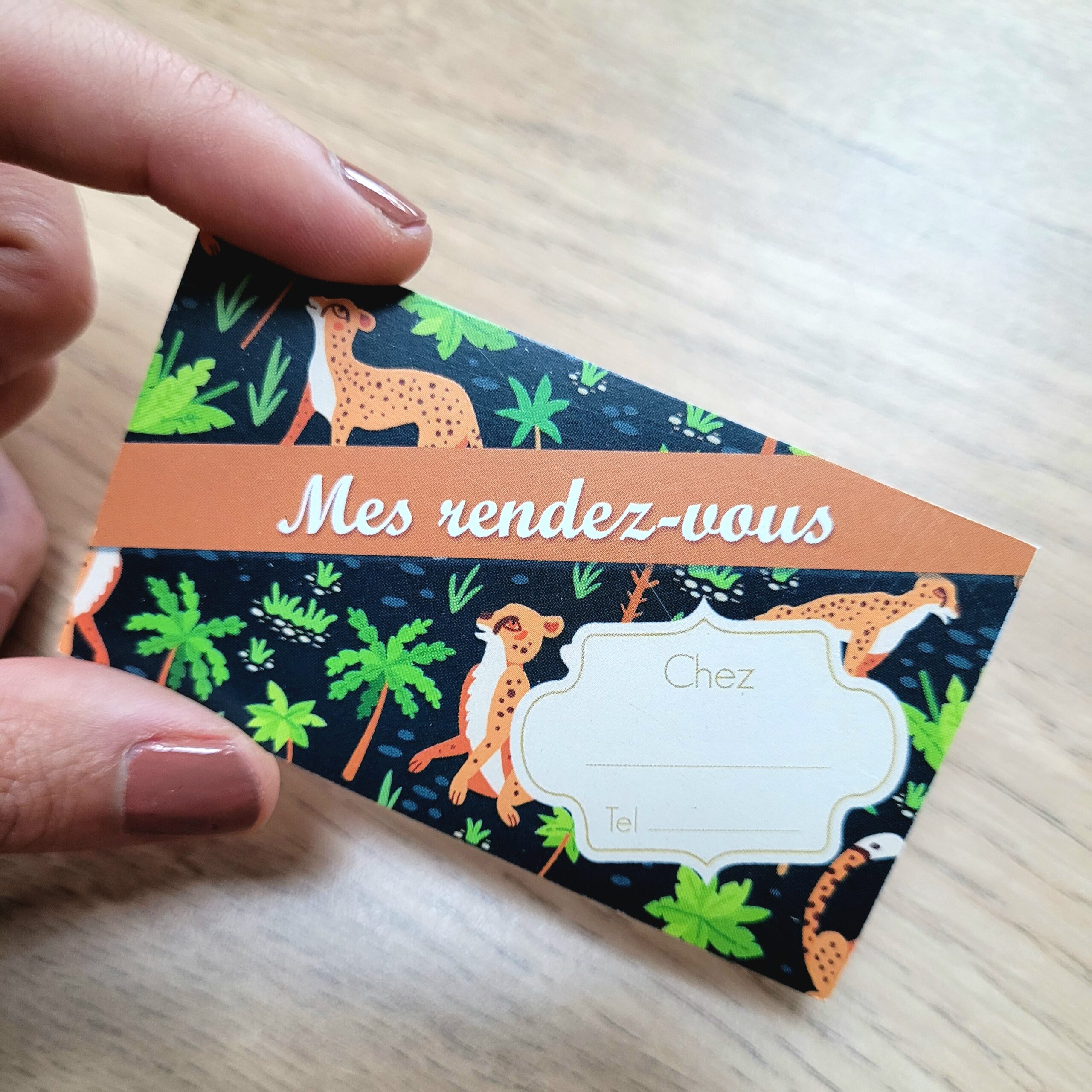 Créations orthophoniques Organisation Cartes Mes rdv lot 50 cartes visite