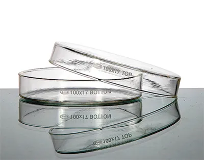 Educaduino SVT lot boîtes de Petri en verre culture classe