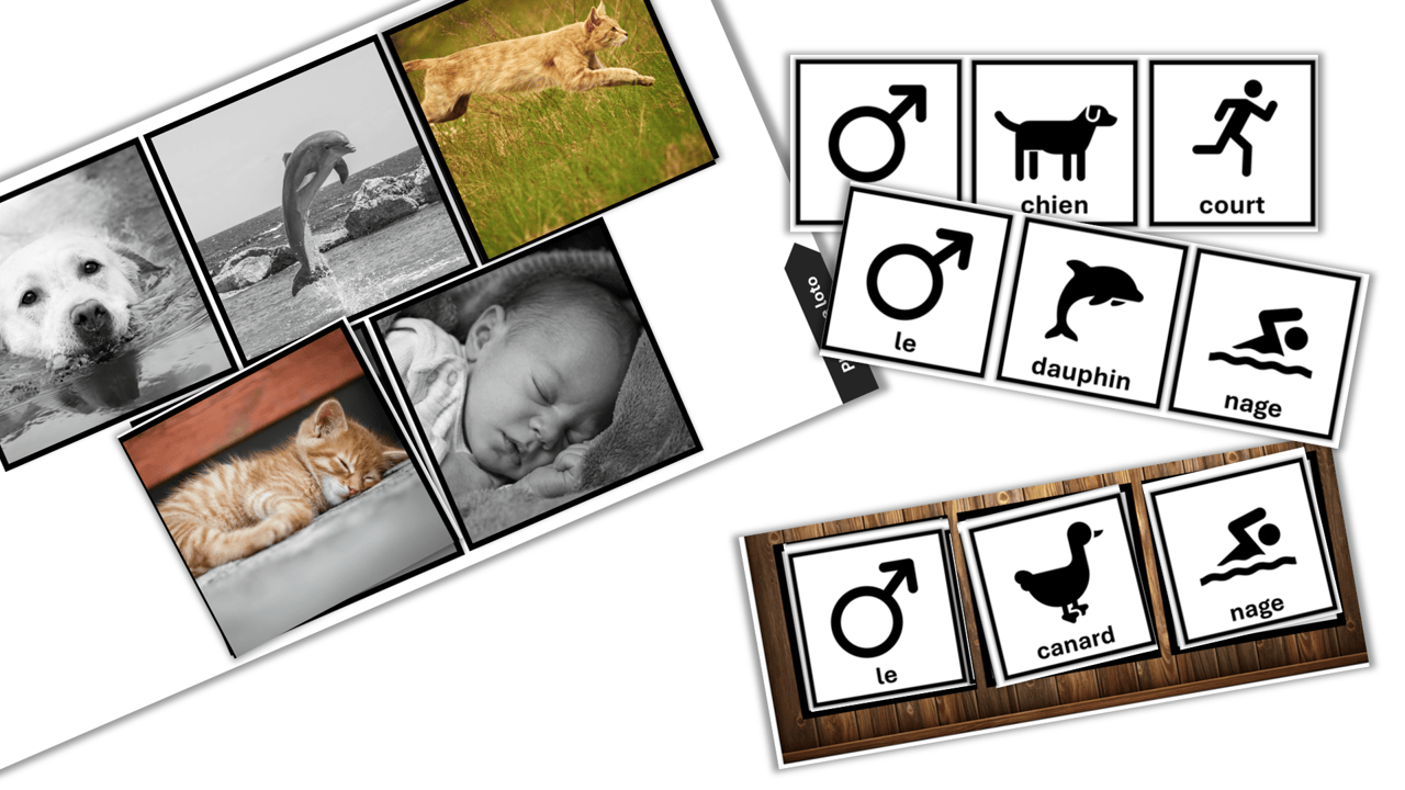 Créations orthophoniques Langage oral Construis phrases Sujet verbe kit