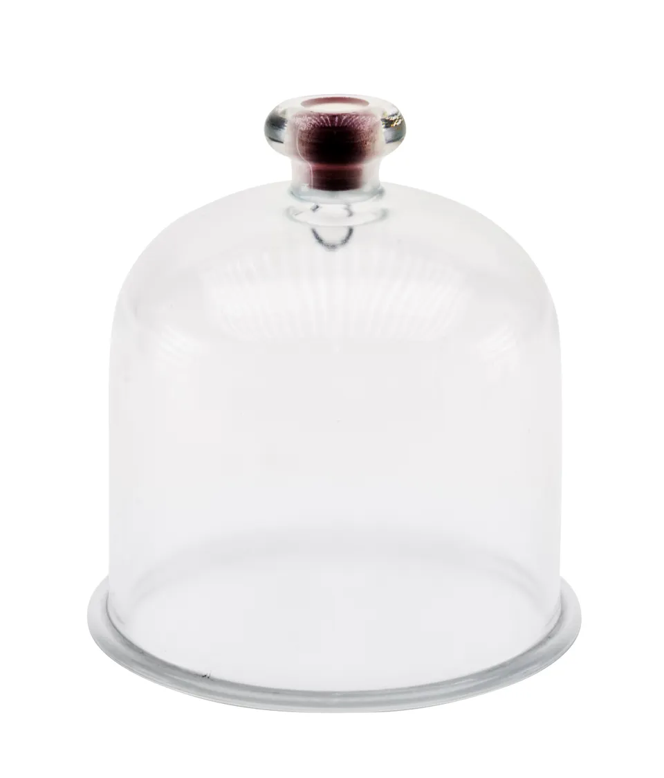 Educaduino Optique et ondes Cloche à vide verre 220 mm